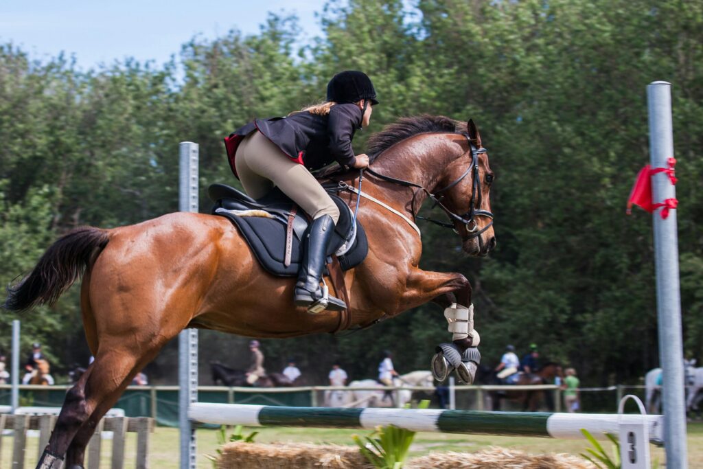 Person Riding A Horse