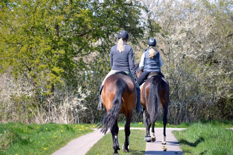 horses, horse riding, animals, women, equestrian, ride horses, nature, landscape, people, ride out, spring, on horseback, horse riding, horse riding, horse riding, horse riding, horse riding, women, people, people, people